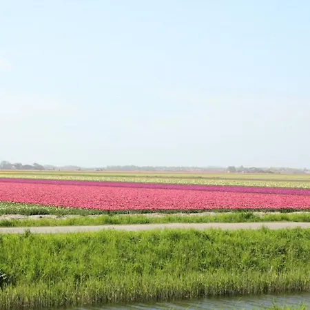 Zomers Zand