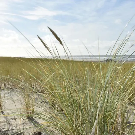 Apartament Zomers Zand